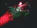 IMAGE0004